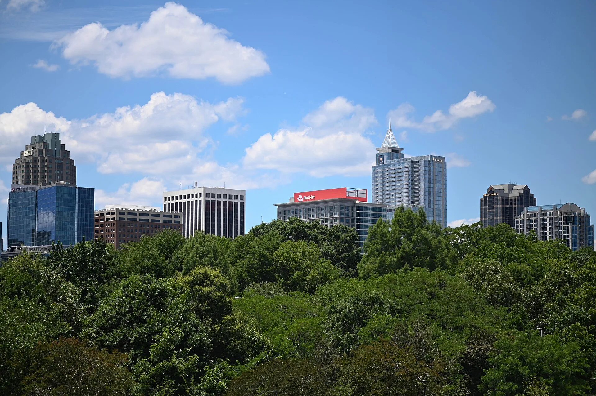 The downtown Raleigh, North Carolina skyline rising above a canopy of trees under a blue sky